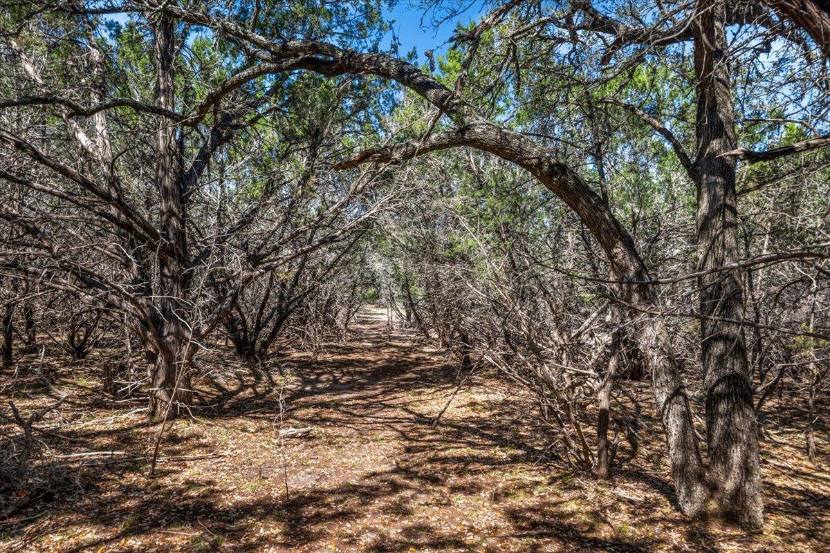 25723 Hamilton Pool Road Round Mountain TX 78654