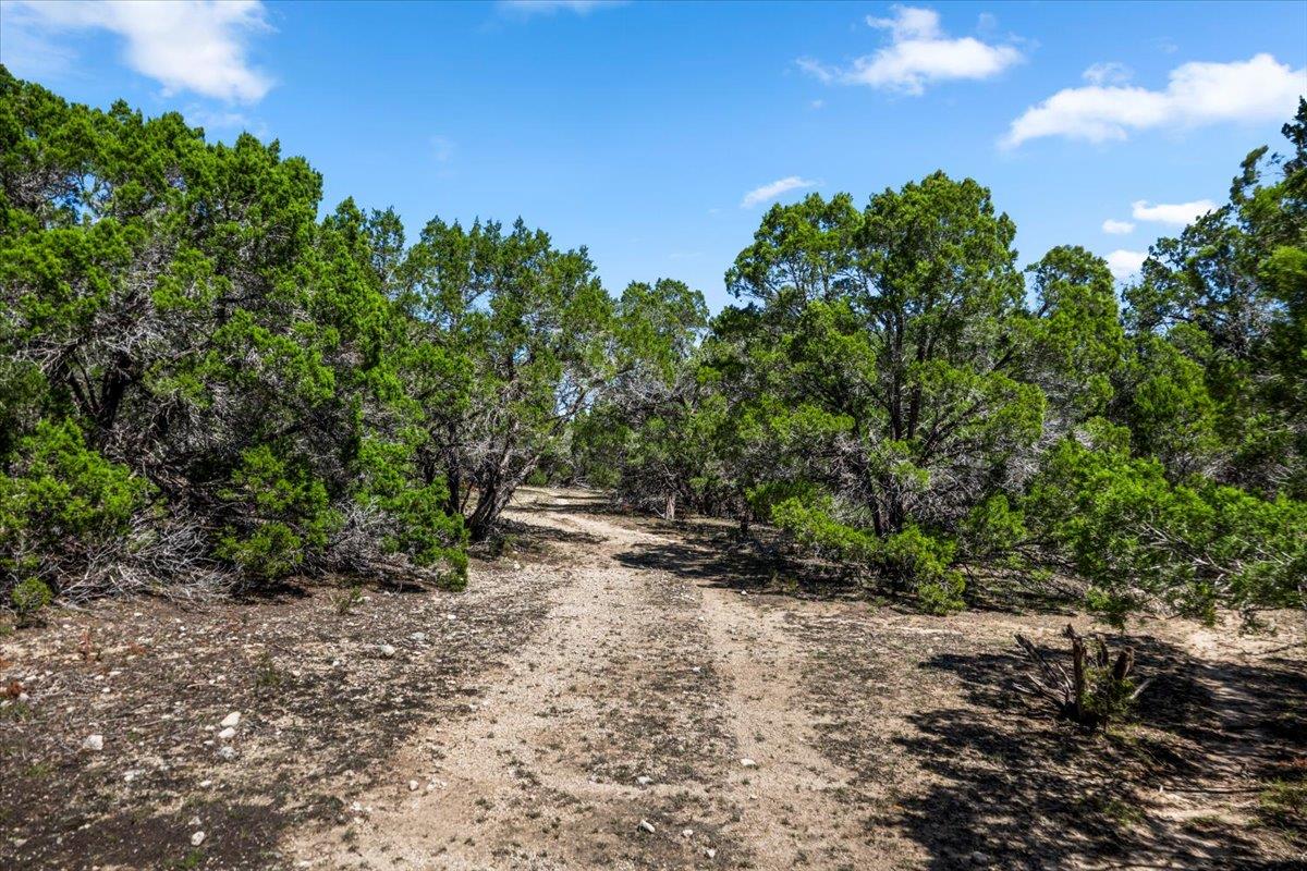 25723 Hamilton Pool Road Round Mountain TX 78654