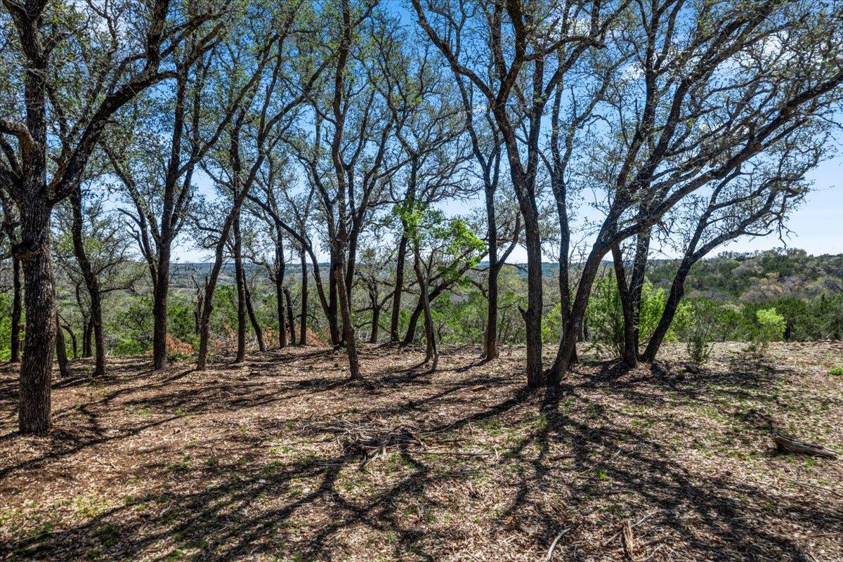 25723 Hamilton Pool Road Round Mountain TX 78654