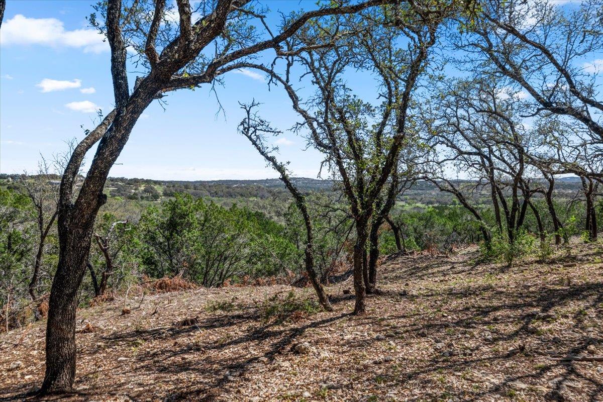 25723 Hamilton Pool Road Round Mountain TX 78654