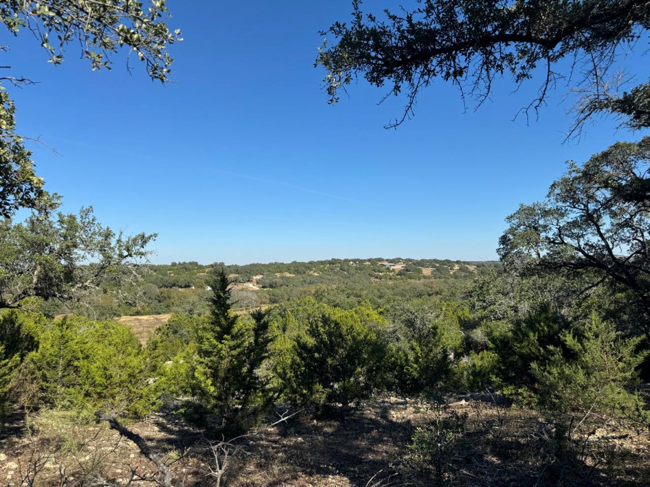 25723 Hamilton Pool Road Round Mountain TX 78654