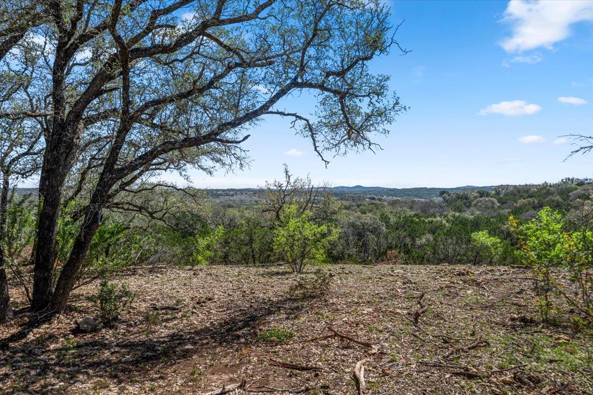 25723 Hamilton Pool Road Round Mountain TX 78654
