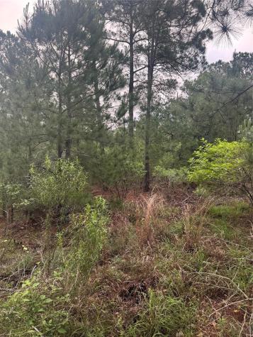 Lot 1490 Haleakala Bastrop TX 78602