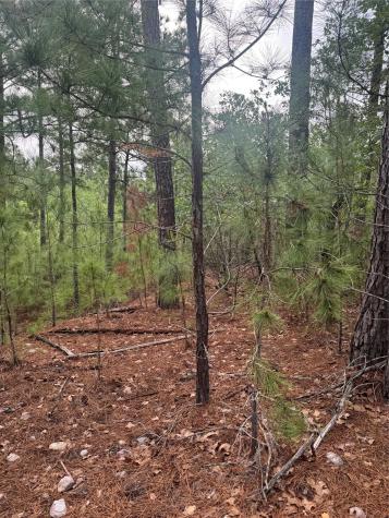 Lot 1490 Haleakala Bastrop TX 78602