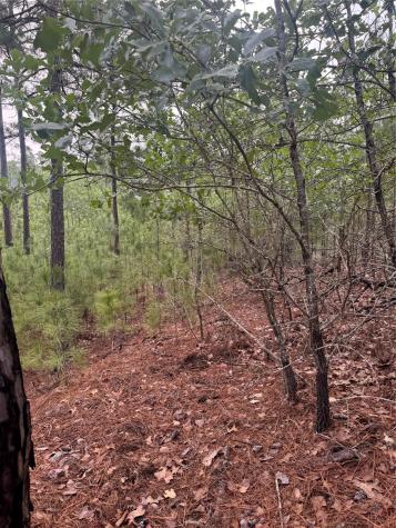 Lot 1490 Haleakala Bastrop TX 78602