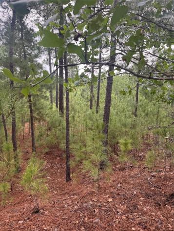 Lot 1490 Haleakala Bastrop TX 78602