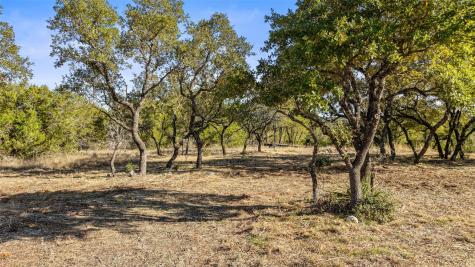 23405 Pedernales Canyon Trail Spicewood TX 78669