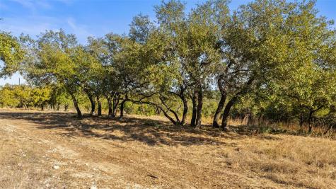 23405 Pedernales Canyon Trail Spicewood TX 78669