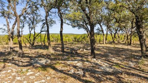 23405 Pedernales Canyon Trail Spicewood TX 78669