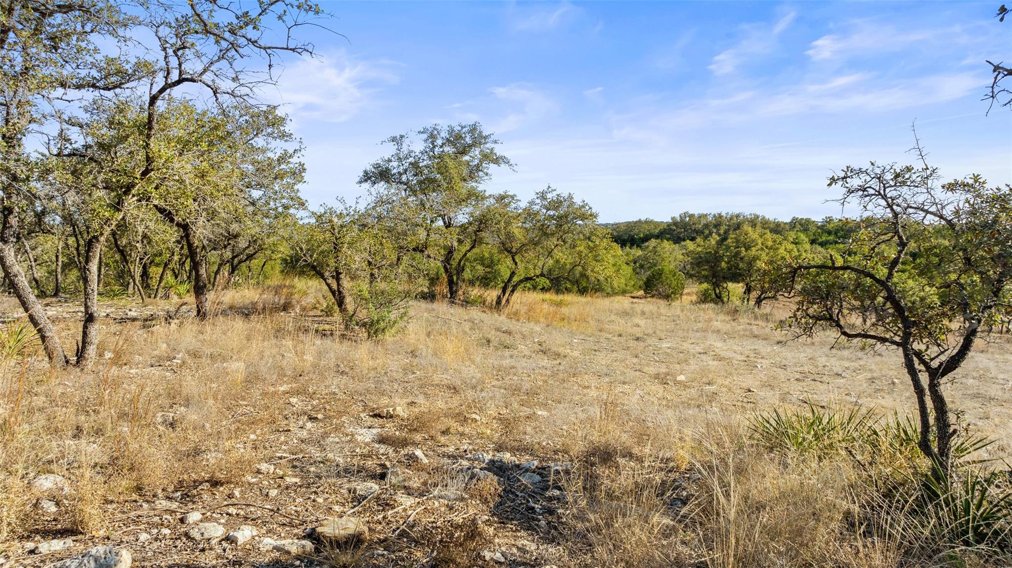 23405 Pedernales Canyon Trail Spicewood TX 78669