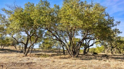 23405 Pedernales Canyon Trail Spicewood TX 78669