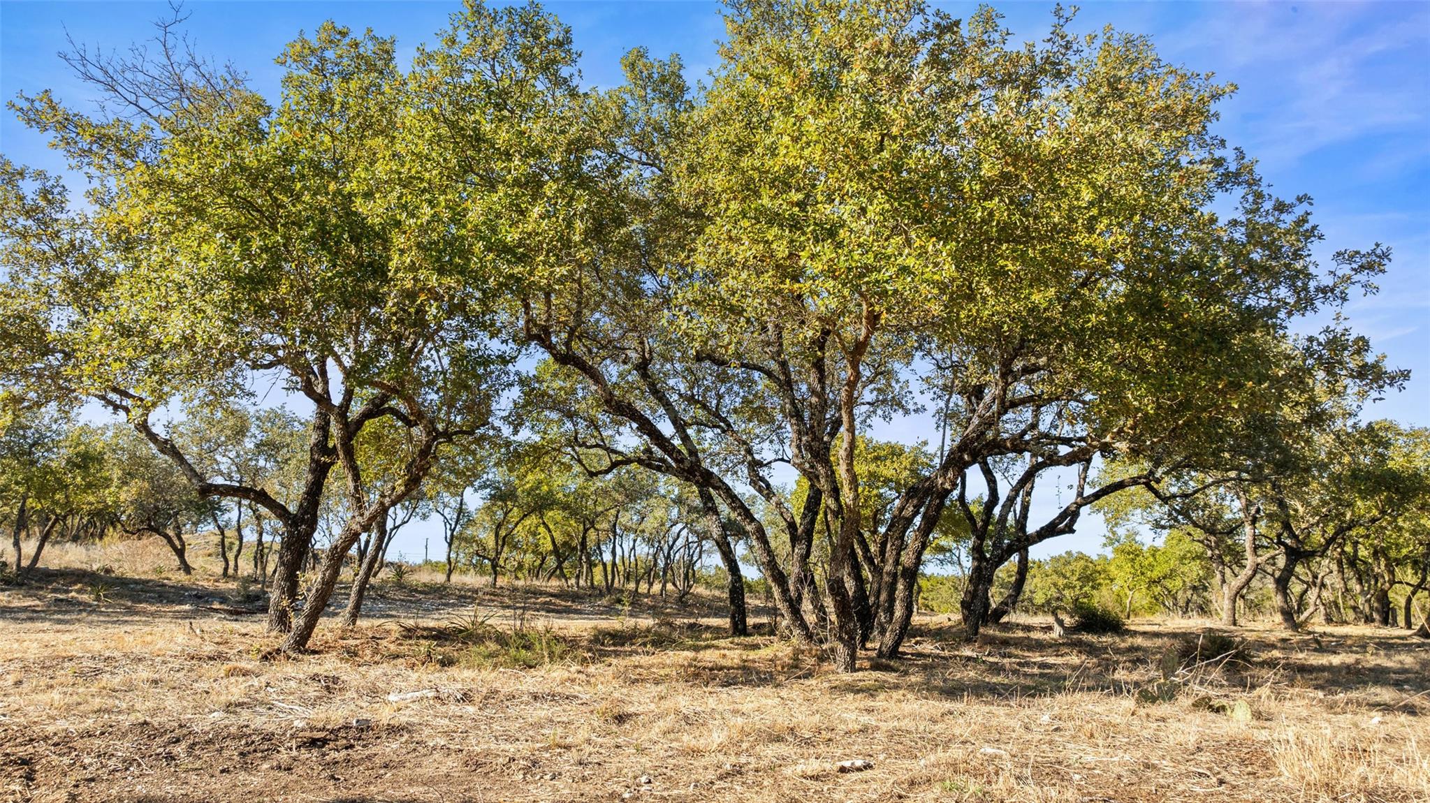 23405 Pedernales Canyon Trail Spicewood TX 78669