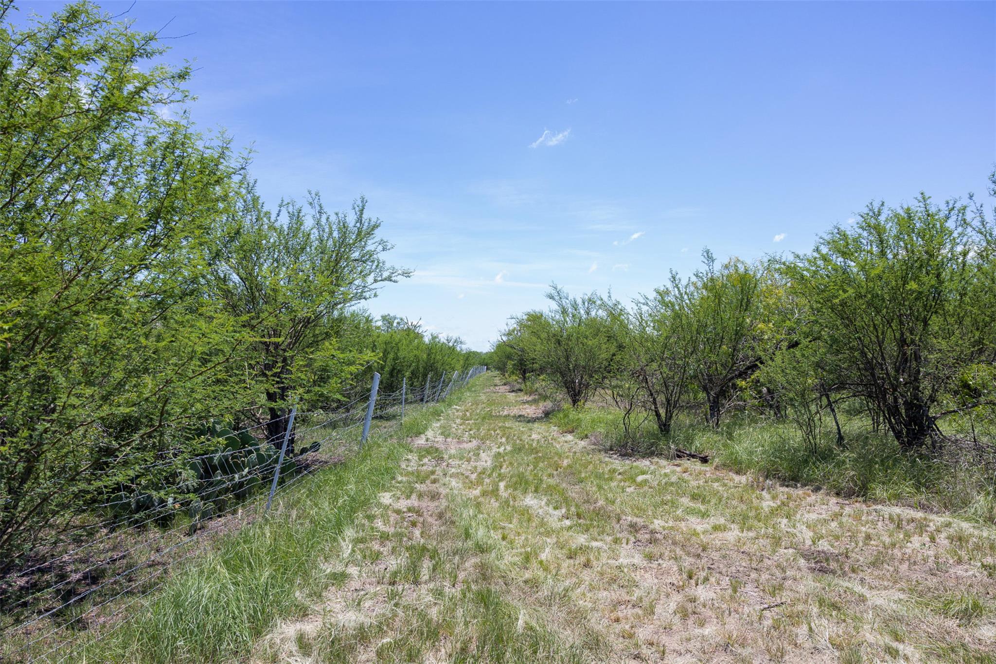 3710 Dry Creek Road Lockhart TX 78644
