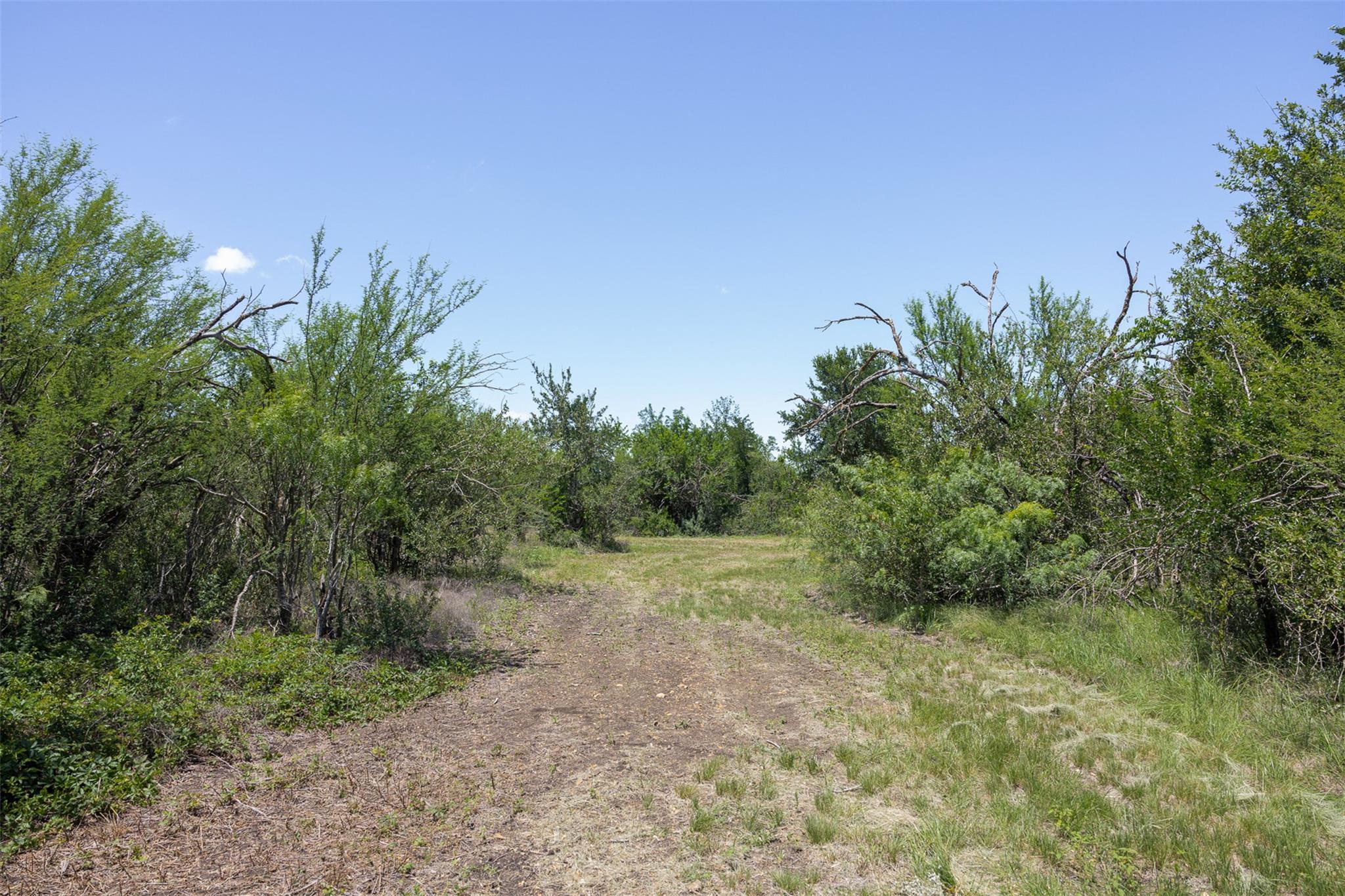 3710 Dry Creek Road Lockhart TX 78644