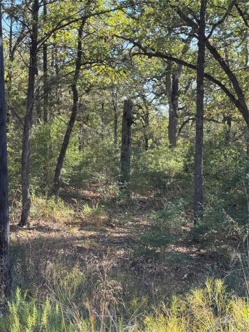 Lot 130 Wailupe Circle Bastrop TX 78602