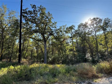 Lot 130 Wailupe Circle Bastrop TX 78602