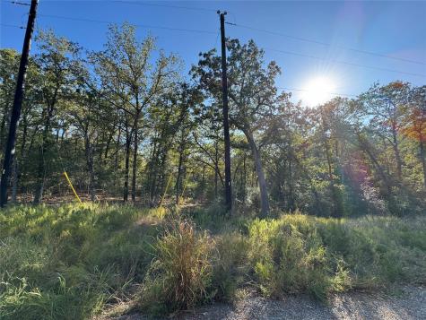 Lot 130 Wailupe Circle Bastrop TX 78602