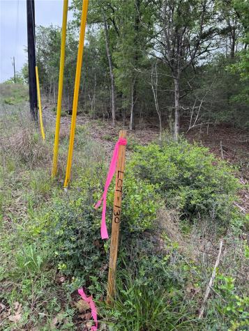 Lot 130 Wailupe Circle Bastrop TX 78602