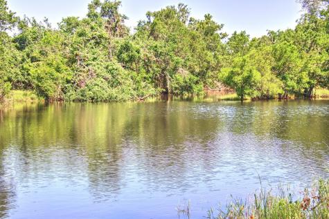Lot 5 Rm 1323 Willow City TX 78675