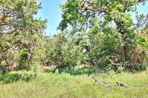Lot 5 Rm 1323 Willow City TX 78675