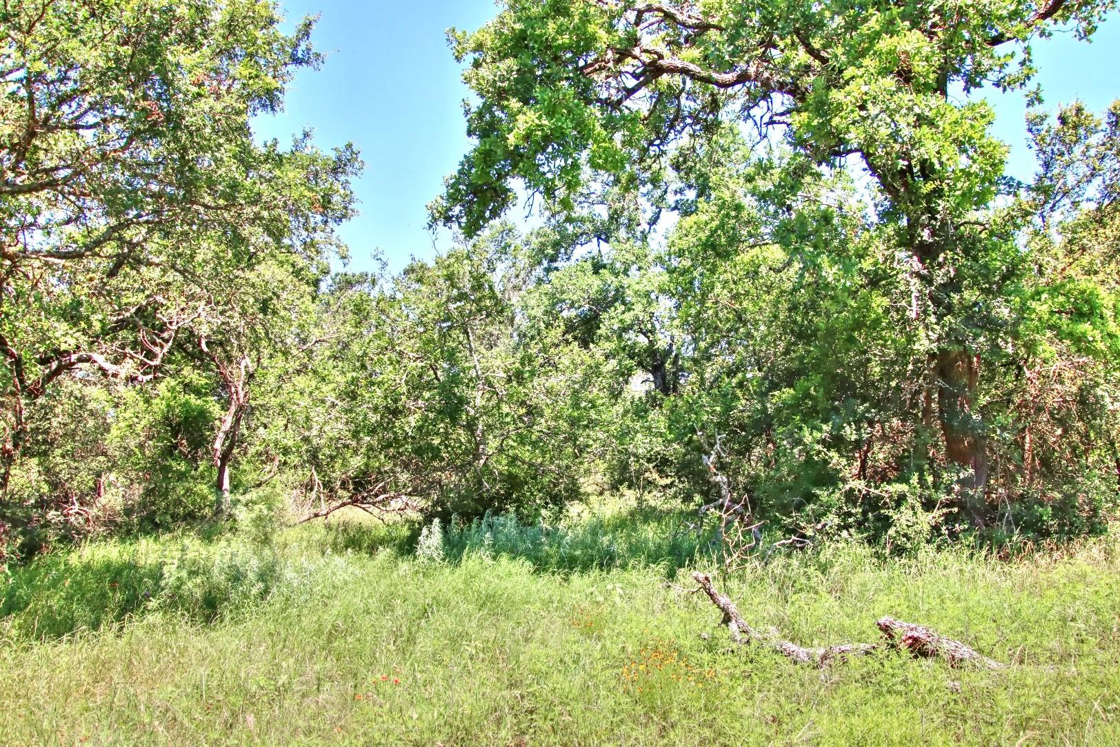 Lot 5 Rm 1323 Willow City TX 78675