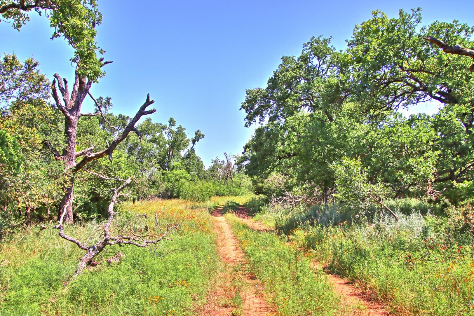 Lot 5 Rm 1323 Willow City TX 78675