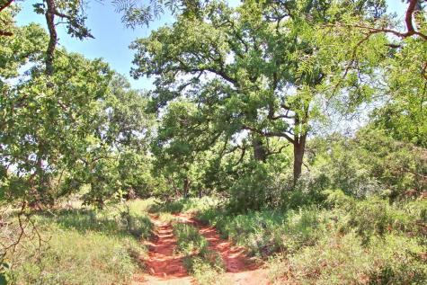 Lot 5 Rm 1323 Willow City TX 78675