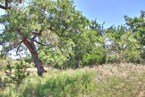 Lot 5 Rm 1323 Willow City TX 78675