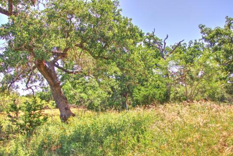 Lot 5 Rm 1323 Willow City TX 78675