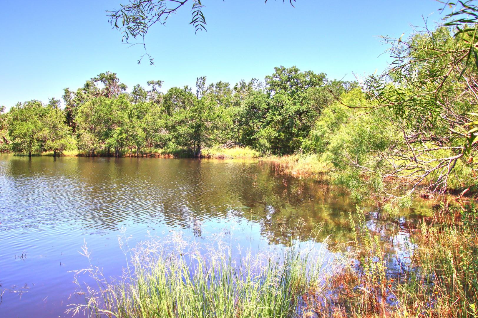 Lot 5 Rm 1323 Willow City TX 78675