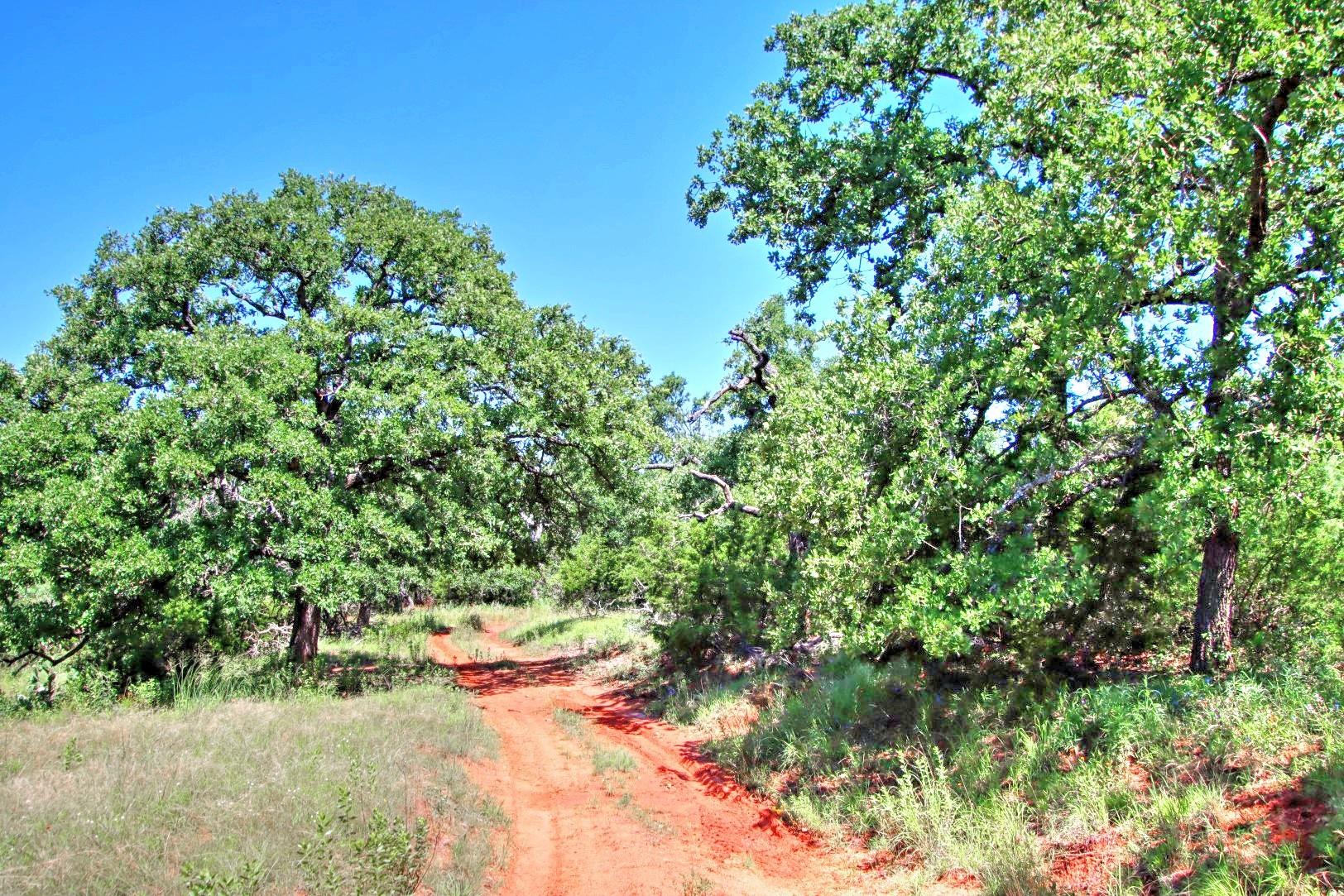 Lot 5 Rm 1323 Willow City TX 78675