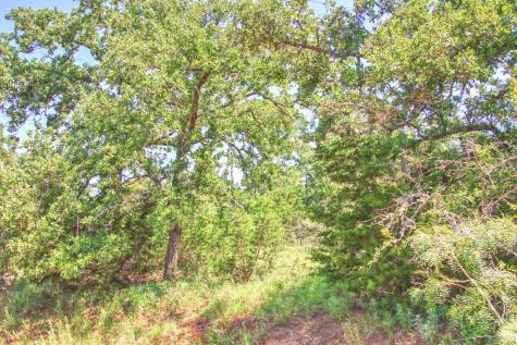 Lot 5 Rm 1323 Willow City TX 78675
