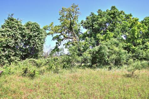 Lot 5 Rm 1323 Willow City TX 78675
