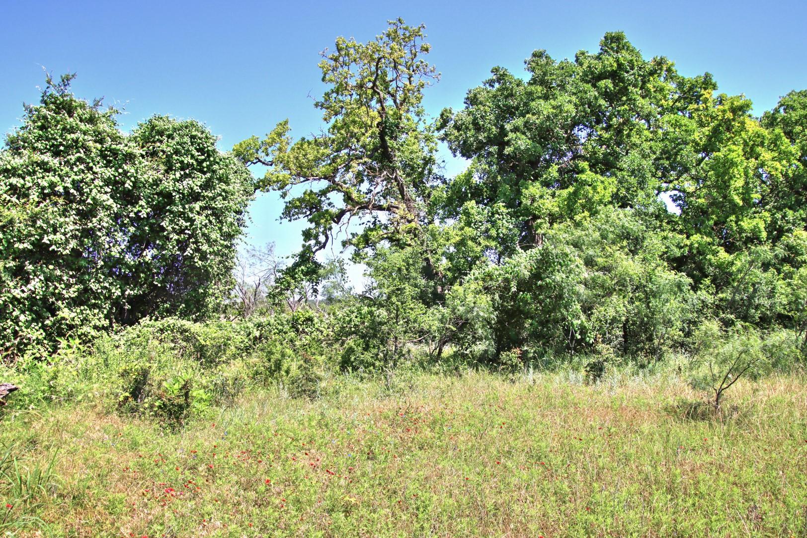 Lot 5 Rm 1323 Willow City TX 78675