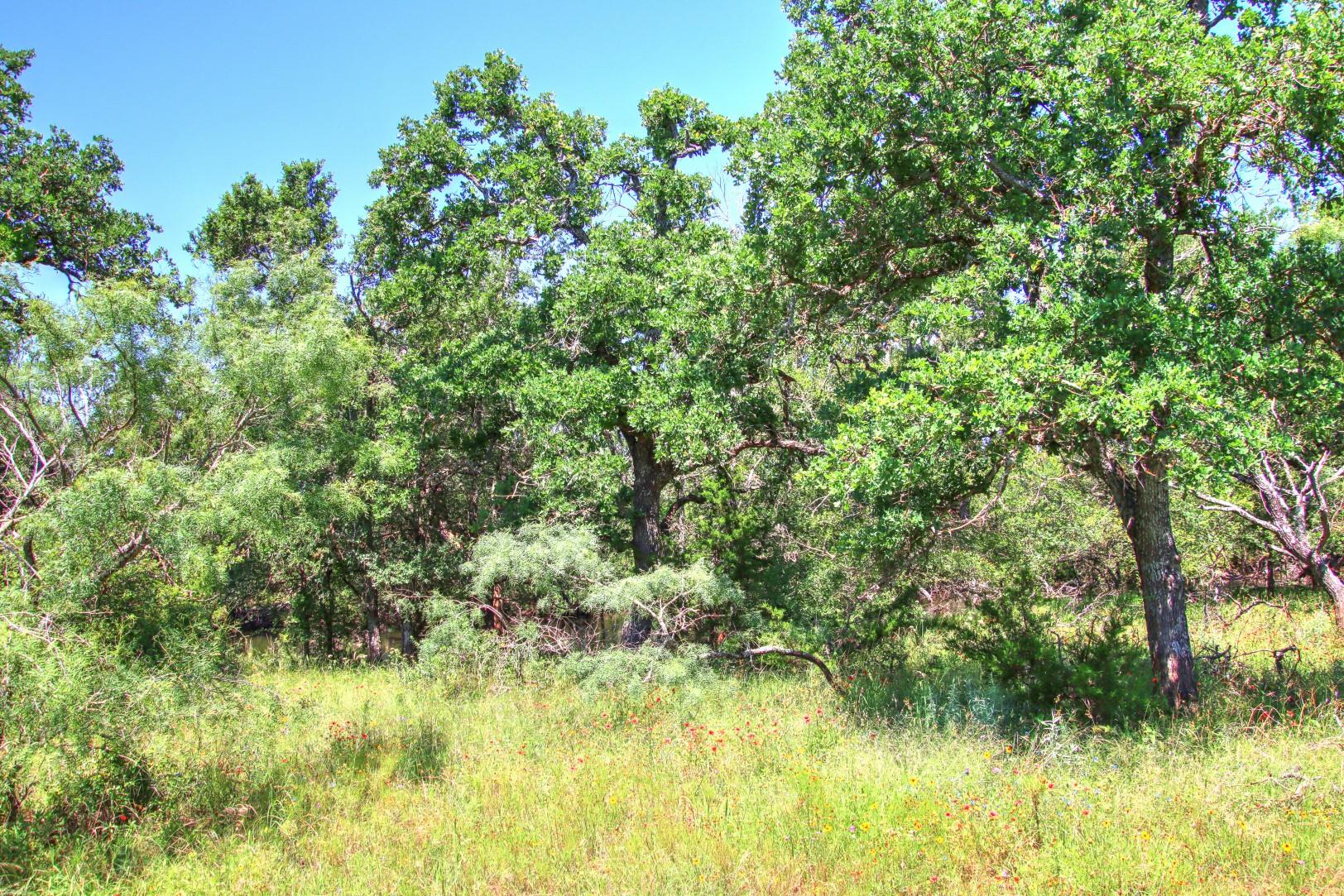Lot 5 Rm 1323 Willow City TX 78675