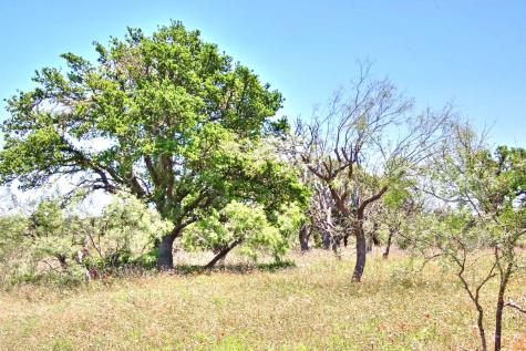 Lot 5 Rm 1323 Willow City TX 78675