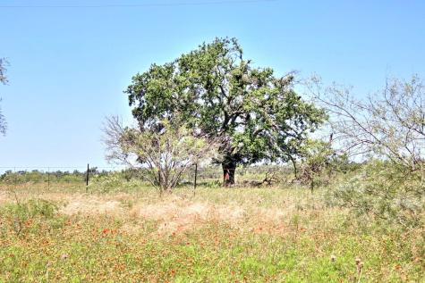 Lot 5 Rm 1323 Willow City TX 78675