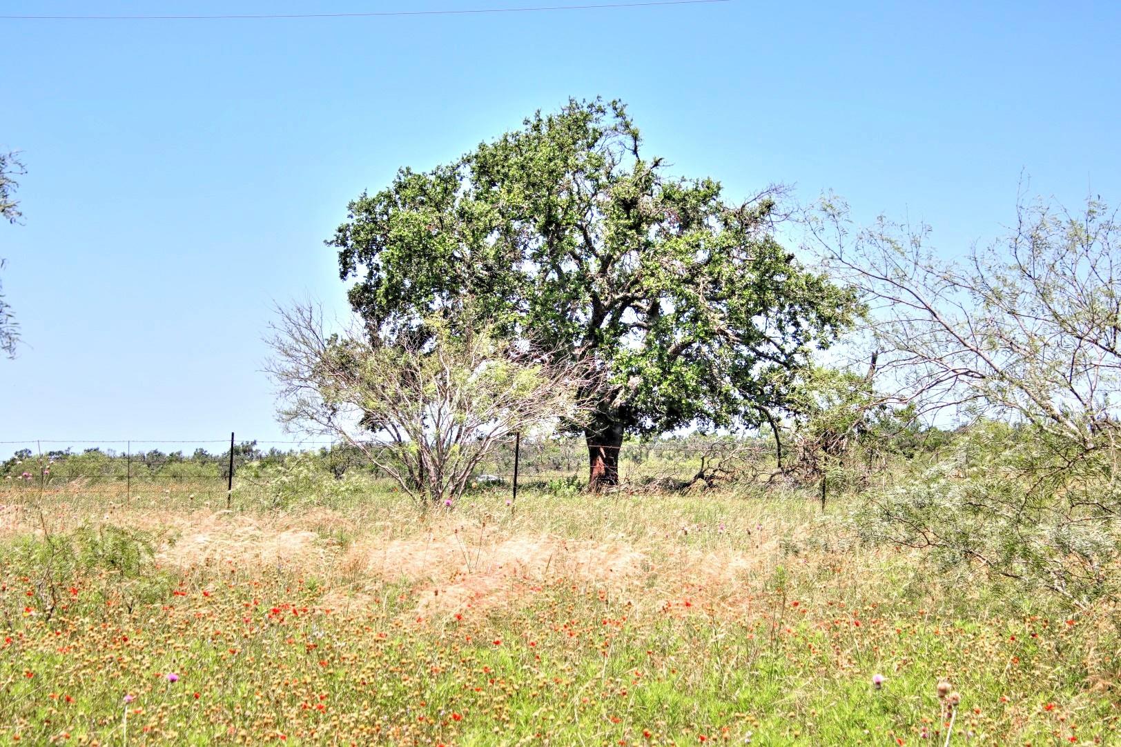 Lot 5 Rm 1323 Willow City TX 78675