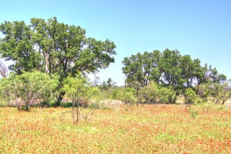 Lot 5 Rm 1323 Willow City TX 78675