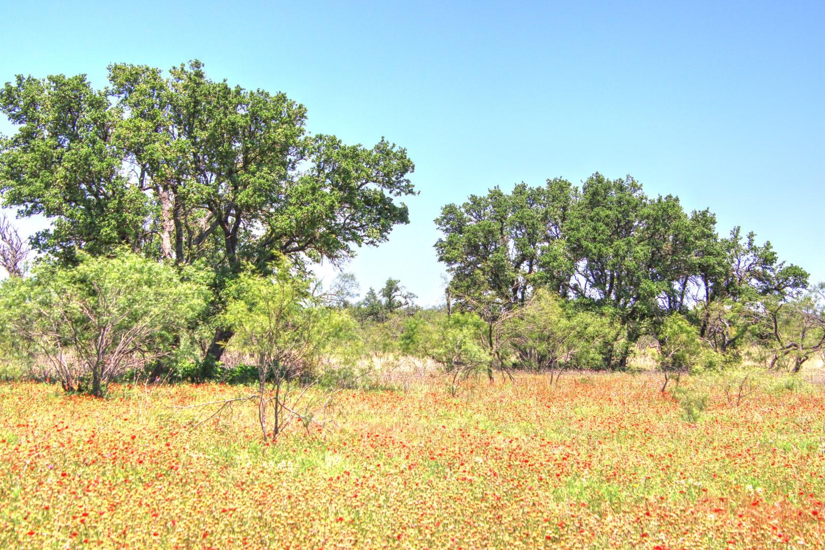 Lot 5 Rm 1323 Willow City TX 78675