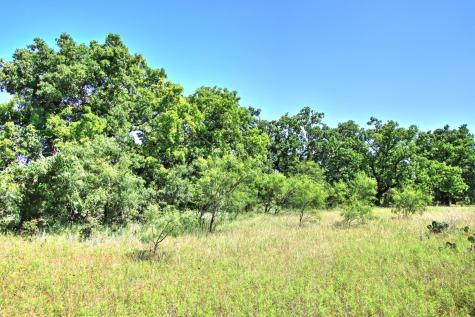 Lot 5 Rm 1323 Willow City TX 78675