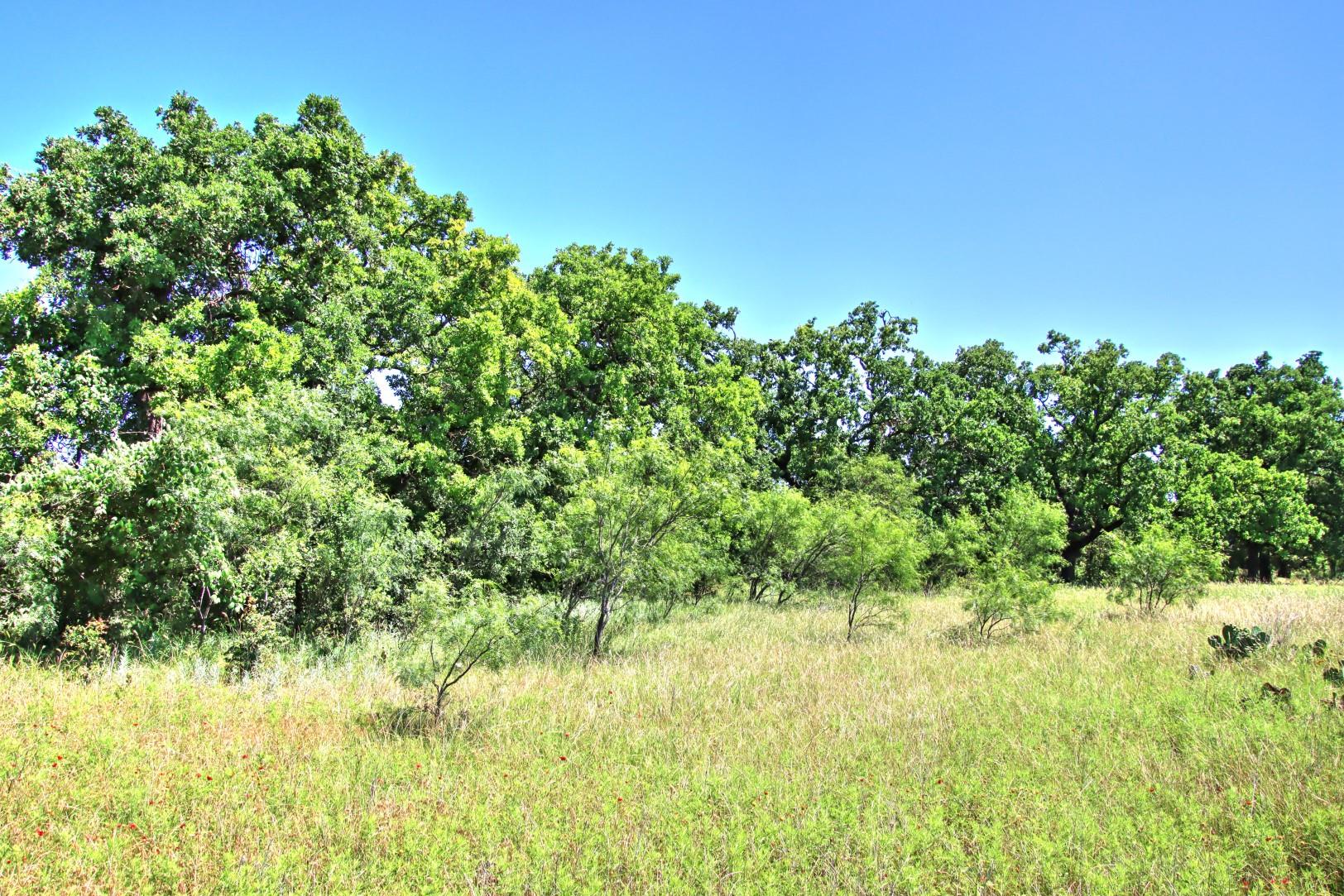 Lot 5 Rm 1323 Willow City TX 78675