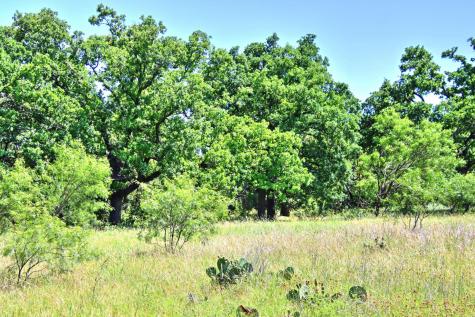 Lot 5 Rm 1323 Willow City TX 78675