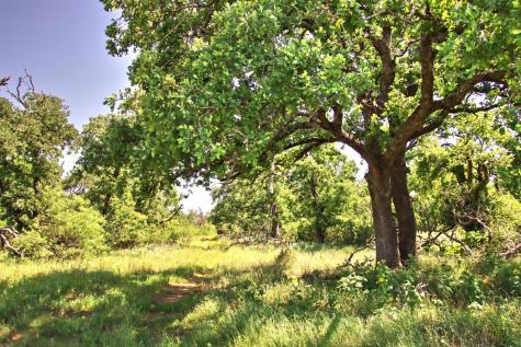 Lot 5 Rm 1323 Willow City TX 78675
