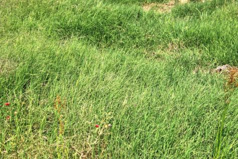 Lot 5 Rm 1323 Willow City TX 78675