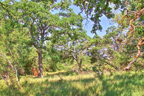 Lot 5 Rm 1323 Willow City TX 78675