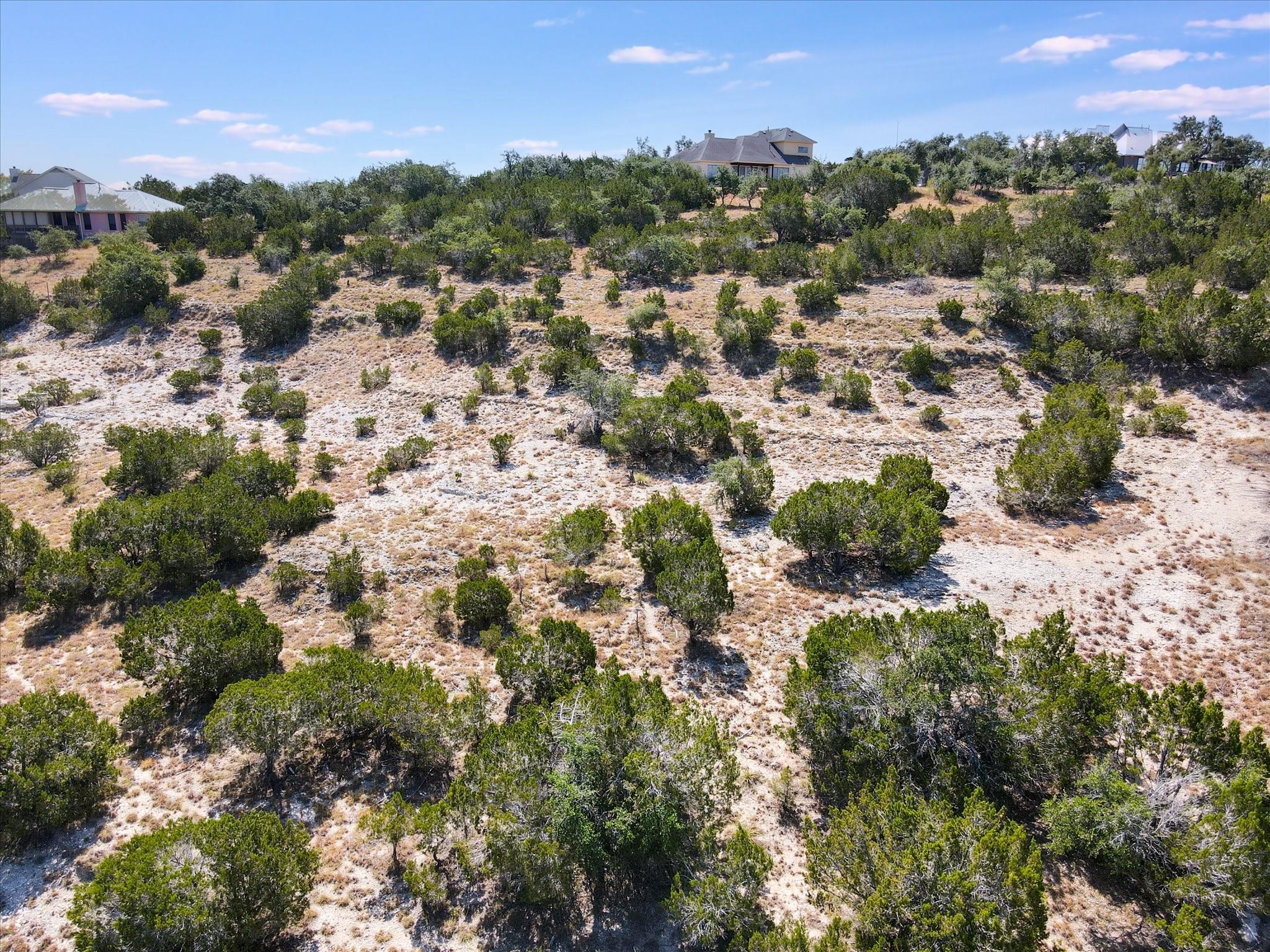 17811 Mason Dixon Circle Dripping Springs TX 78620