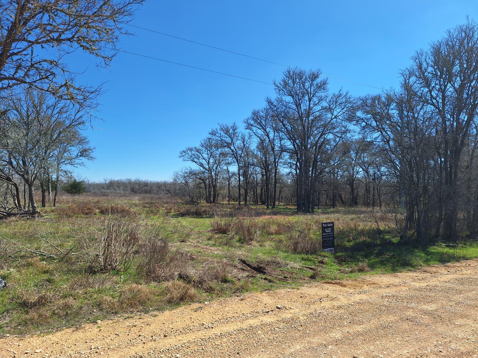 1554 Father Anderds Loop Flatonia TX 78941