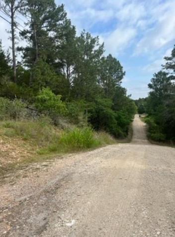 Lot 345 Wainee Drive Bastrop TX 78602
