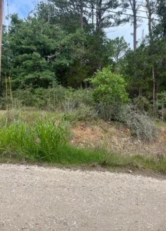 Lot 345 Wainee Drive Bastrop TX 78602